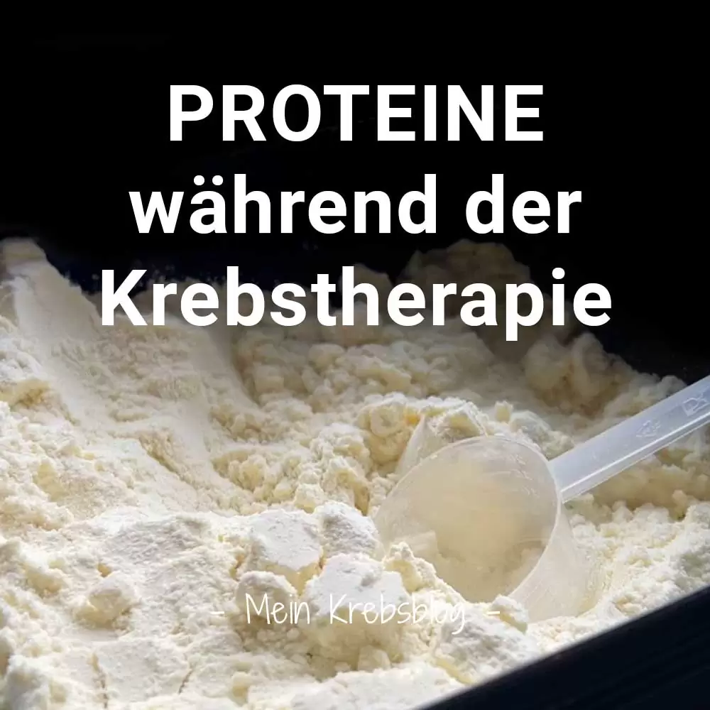 Rezeptliebe-Krebs-Blog-Krebsblog-Proteine-waehrend-der-Krebstherapie-erhoehter-Eiweissbedarf